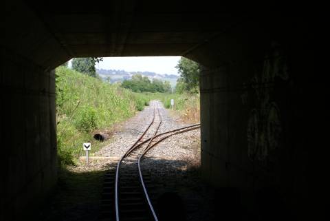 DSC00117