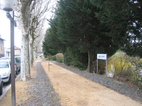 IMG 3746