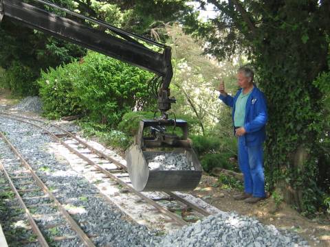 IMG 3890