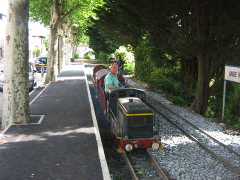 IMG 3920