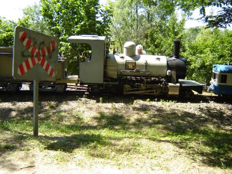 DSC09987