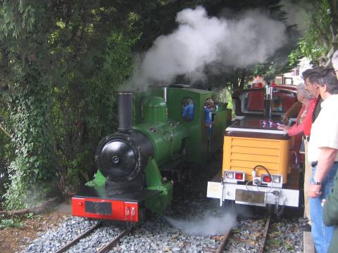 IMG 3933