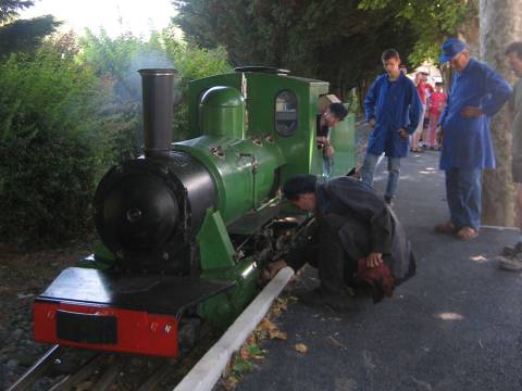 IMG 3989