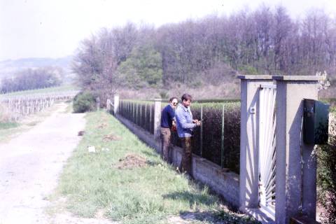 1982 03