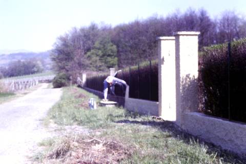 1982 04